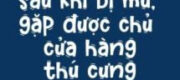 Sau Khi Bị Mù, Gặp Được Chủ Cửa Hàng Thú Cưng
