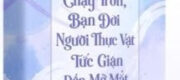 Sau Khi Tôi Chạy Trốn, Bạn Đời Người Thực Vật Tức Giận Đến Mở Mắt