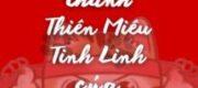 Sau Khi Xuyên Thành Thiên Miêu Tinh Linh Của Hotboy Trường