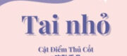 Tai Nhỏ