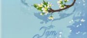 Tam Quốc Nhu Tình, Đãn Vị Quân Cố