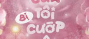 Tân Lang Của Tôi Bị Cướp Hôn Rồi