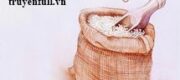 Thập Niên 70: Bá Chủ Mỹ Thực Nuôi Con Ký