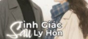 Tỉnh Giấc Sau Ly Hôn - Hồng Cửu