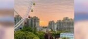 Tôi Nghe Thấy Tiếng Lòng Của Sếp