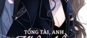 Tổng Tài Anh Nhận Nhầm Người Rồi