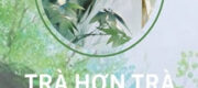 Trà Hơn Trà