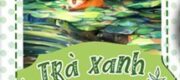 Trà Xanh Phân Hóa Thành Alpha