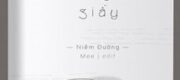 Trong Nhà Vệ Sinh, Không Có Giấy