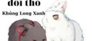 Trong Rừng Sâu Có Một Đôi Thỏ