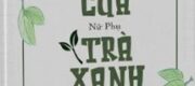 Trùng Sinh, Tôi Trở Thành Mẹ Của Nữ Phụ Trà Xanh