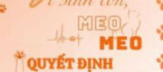 Vì Sinh Tồn, Meo Meo Quyết Định