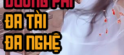 Vương Phi Đa Tài Đa Nghệ