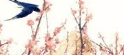 Xuyên Đến Bộ Lạc Nguyên Thủy