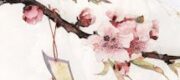 Xuyên Nhanh: Mười Kiếp Nhân Duyên